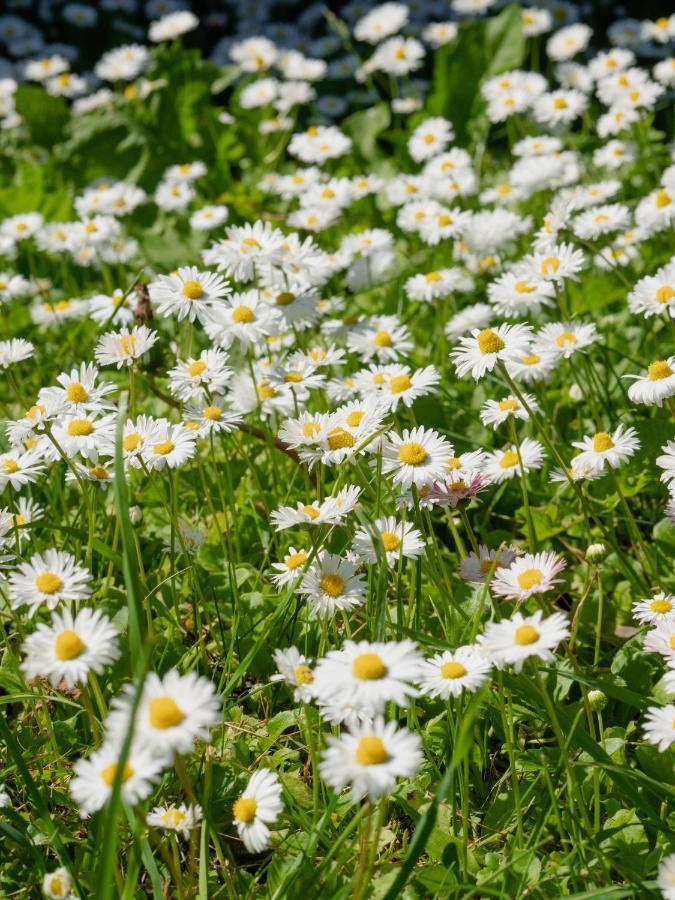 Вилла Kadariku Tourism Farm Sakla Экстерьер фото