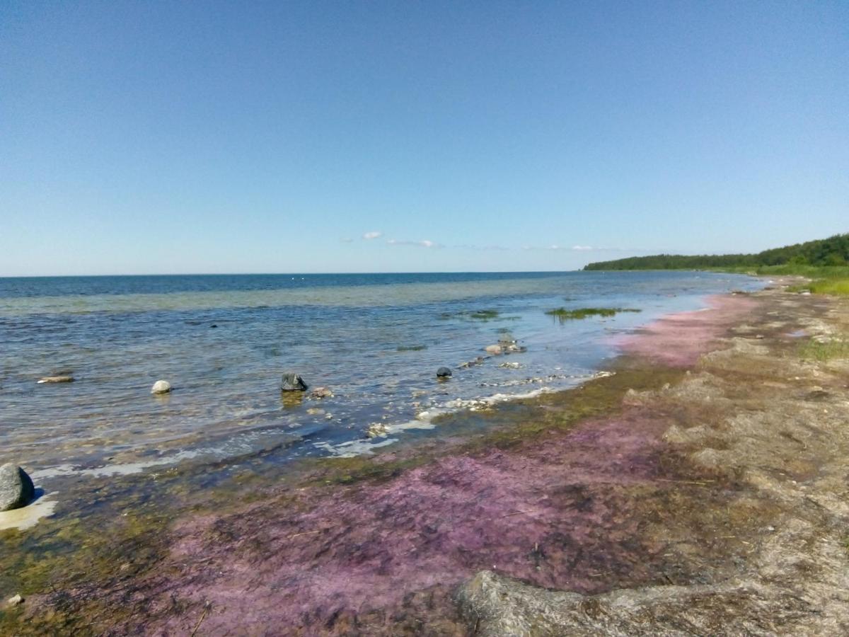 Вилла Kadariku Tourism Farm Sakla Экстерьер фото